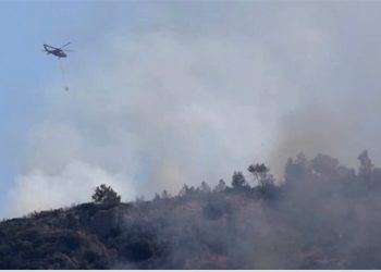 Bosbranden teisteren Turkse kust: evacuaties in populaire vakantiegebieden