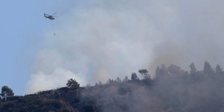 Bosbranden teisteren Turkse kust: evacuaties in populaire vakantiegebieden