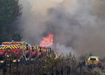 Droogte schroeft bosbrandgevaar op in Nederland en Zuid-Europa