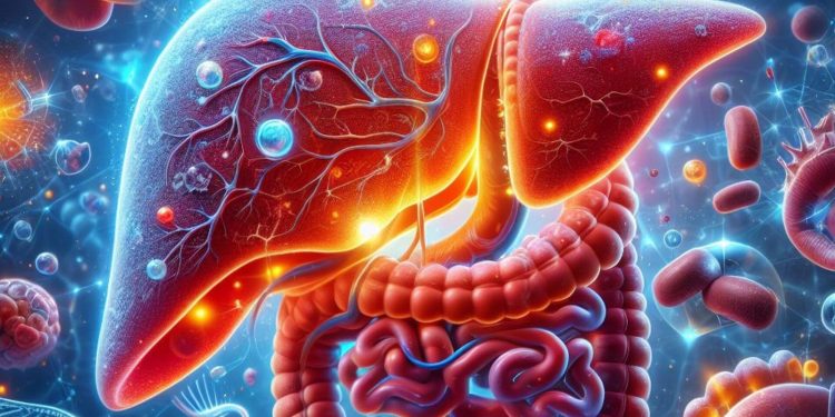 ECDC waarschuwt: Europa haalt doelen tegen hepatitis in 2030 niet