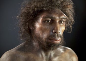 Genen van mysterieuze 'spookvoorouders' ontdekt in de moderne mens