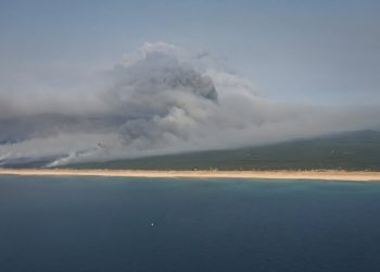Primeur in Frankrijk: zeldzame vuurwolk verergert bosbranden in Gironde