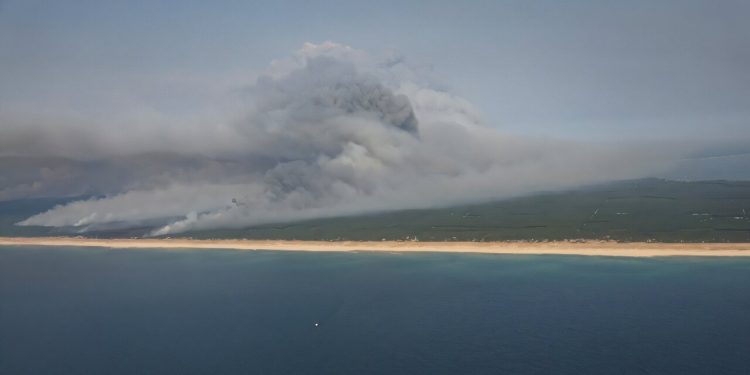 Primeur in Frankrijk: zeldzame vuurwolk verergert bosbranden in Gironde