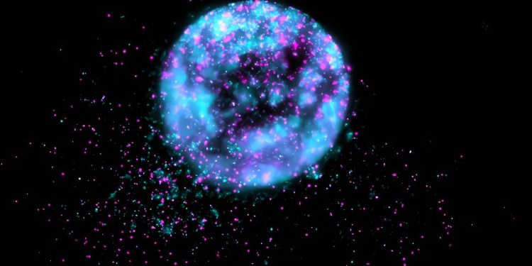 Bacteriën en biochips ingezet bij behandeling alvleesklierkanker