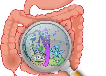Darmbacteriën beïnvloeden effectiviteit van nanomedicijn bij kanker