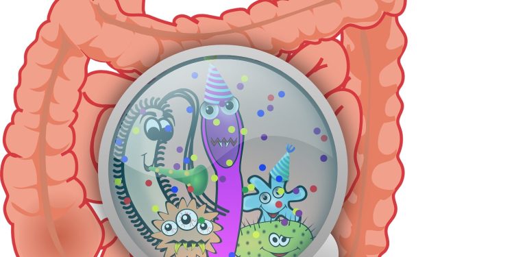 Darmbacteriën beïnvloeden effectiviteit van nanomedicijn bij kanker