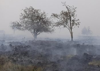 Historische natuurbrand teistert Hoge Venen: honderden Belgen geëvacueerd