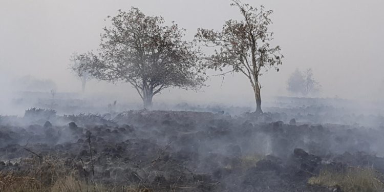 Historische natuurbrand teistert Hoge Venen: honderden Belgen geëvacueerd