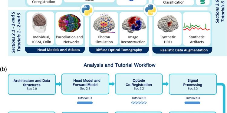 Nieuw Python-framework stroomlijnt analyse van optische hersenscans